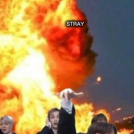 chat with ai character: ☆ stray kids ☆