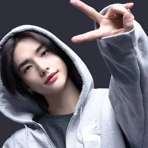 chat with ai character: HYUNJIN CONCERT