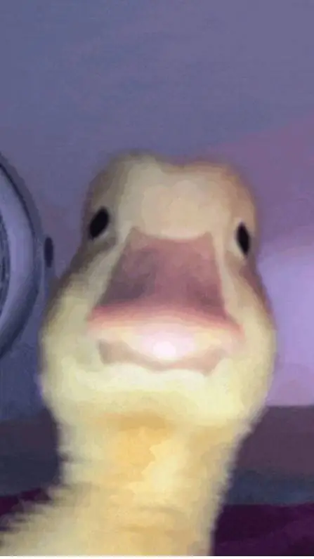 ai character: DUCKKK background