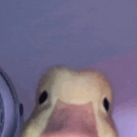 chat with ai character: DUCKKK