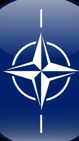 ai character: NATO background