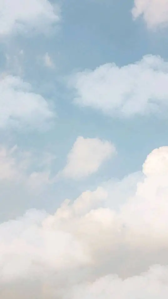 ai character: {FĄMÎLÎĄ TØDØRØKÎ} background