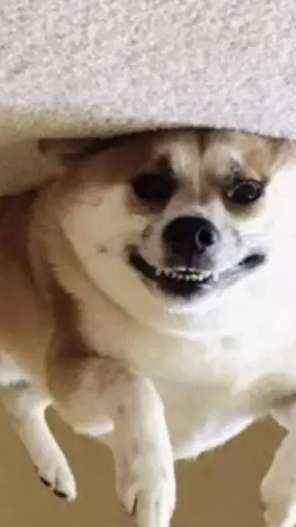 ai character: Bakugo sis  background