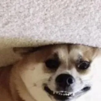 chat with ai character: Bakugo sis 