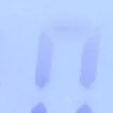 chat with ai character: bfhhgt