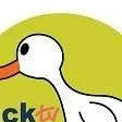 chat with ai character: DuckTv