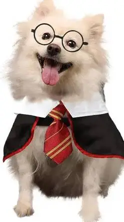 ai character: dog harry Potter  background