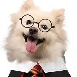 chat with ai character: dog harry Potter 