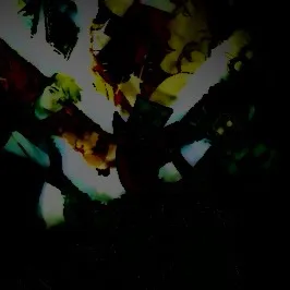 chat with ai character: Terrible Mouse