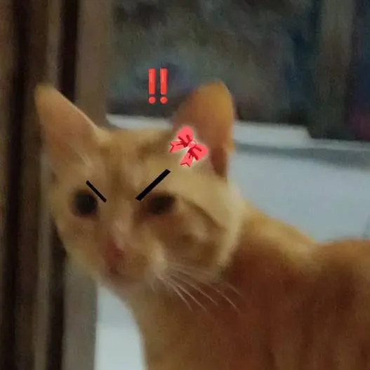 chat with ai character: meu gato 