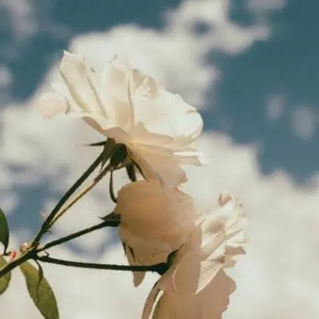 chat with ai character: Muichiro Training