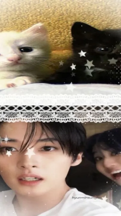 ai character: Minsung as kittens background