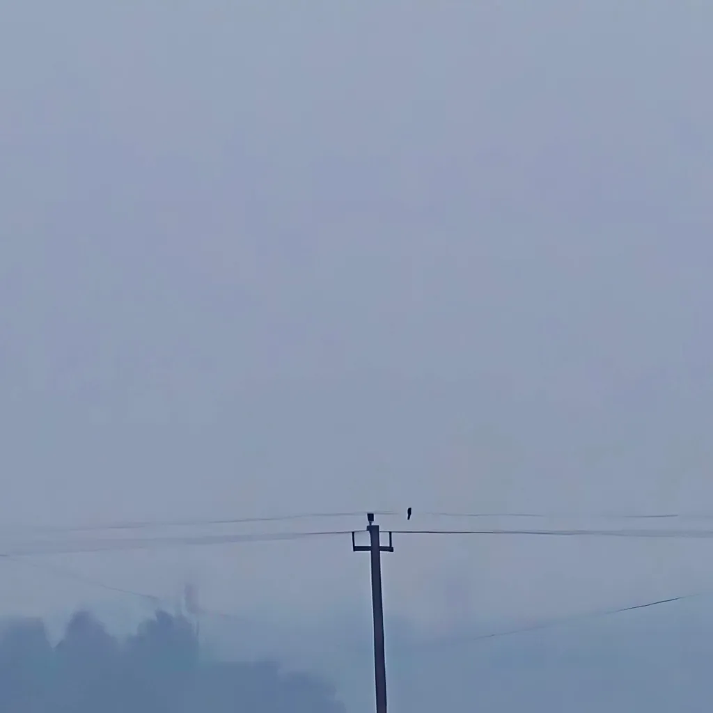 chat with ai character: YourLifeIsALie