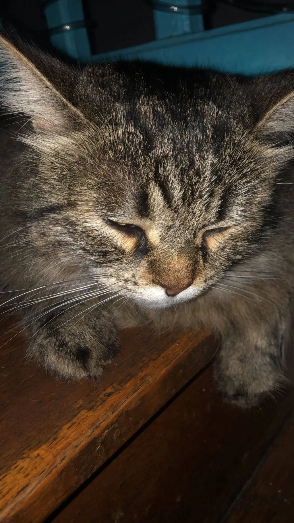 ai character: Merlin background