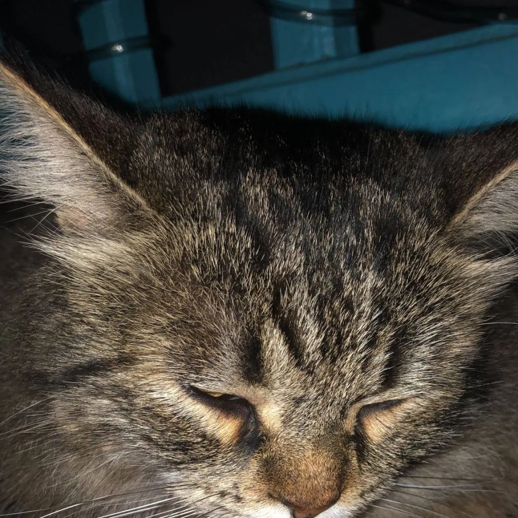 chat with ai character: Merlin