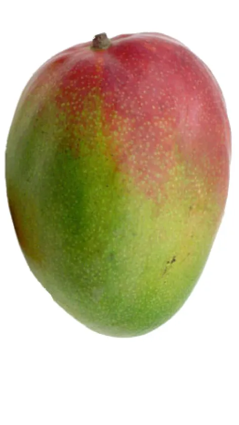 ai character: Mango background