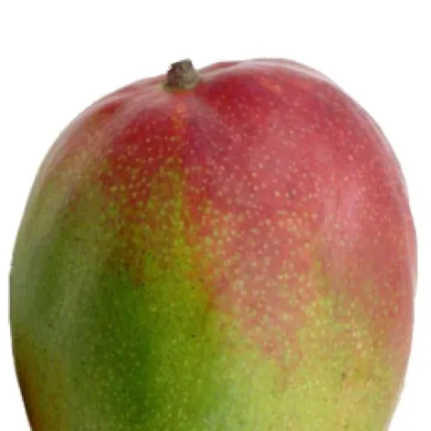 chat with ai character: Mango