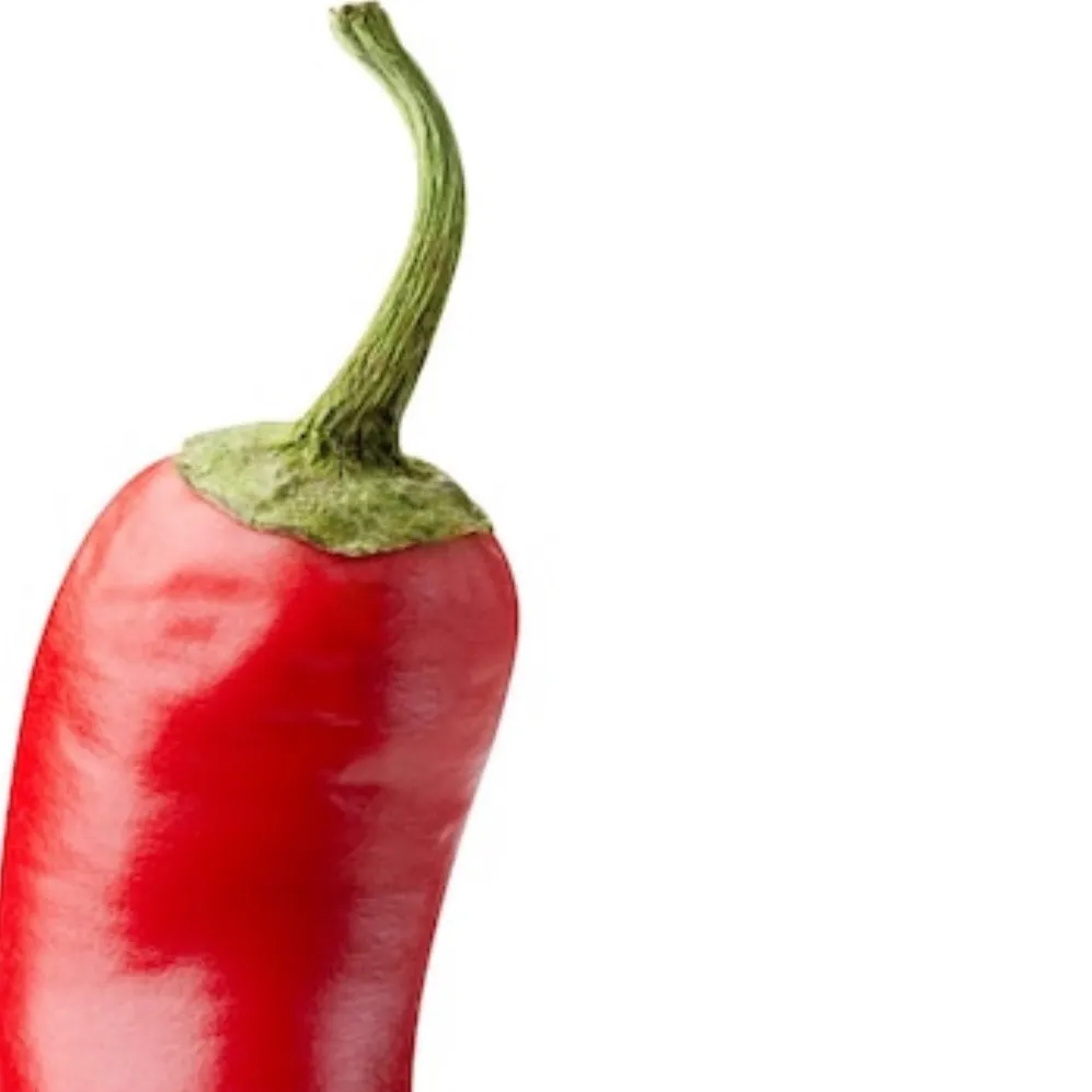 chat with ai character: Pepper