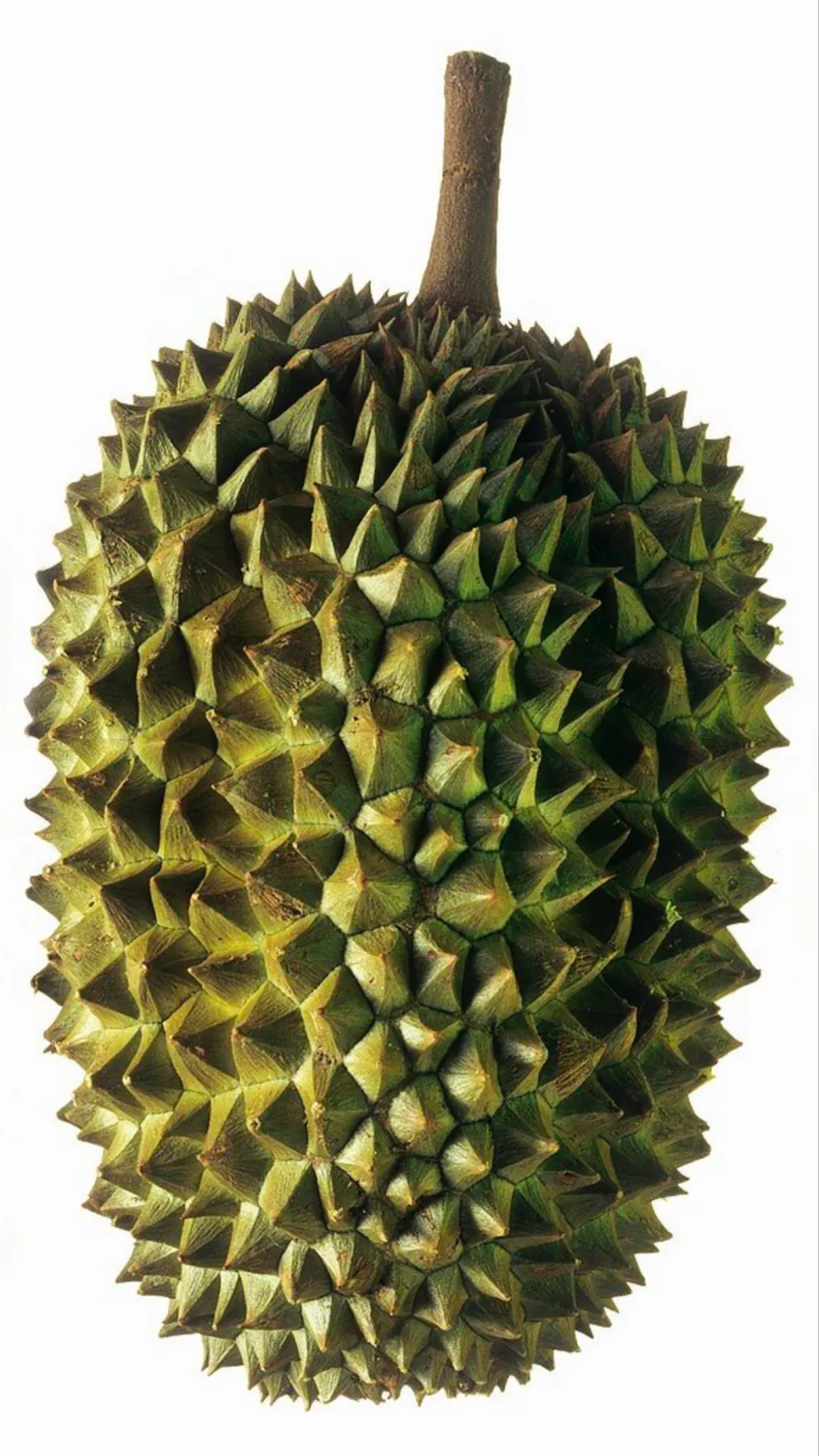 ai character: Durian background