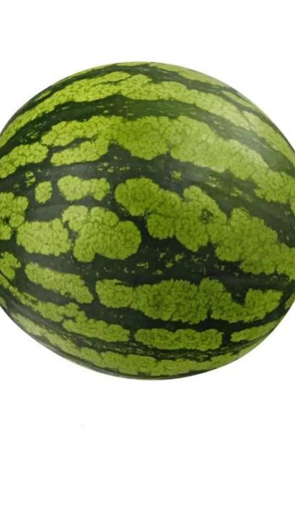 ai character: Watermelon background