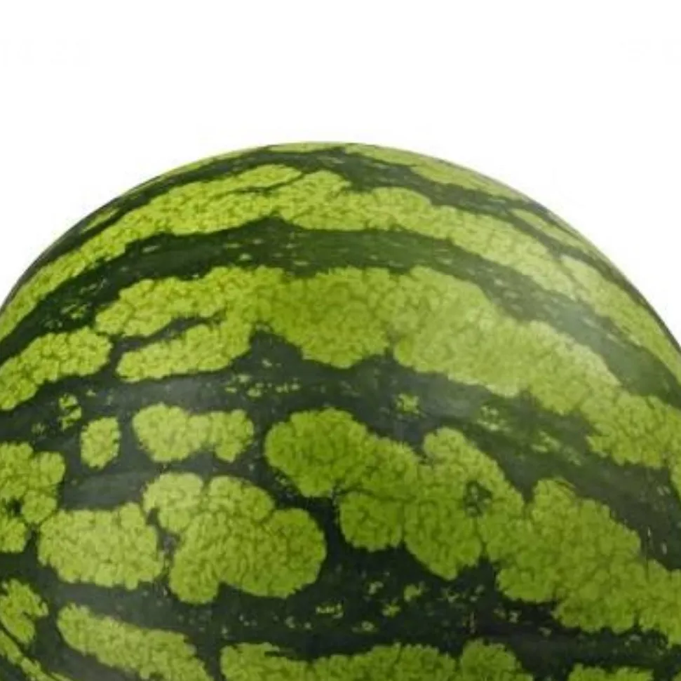 chat with ai character: Watermelon