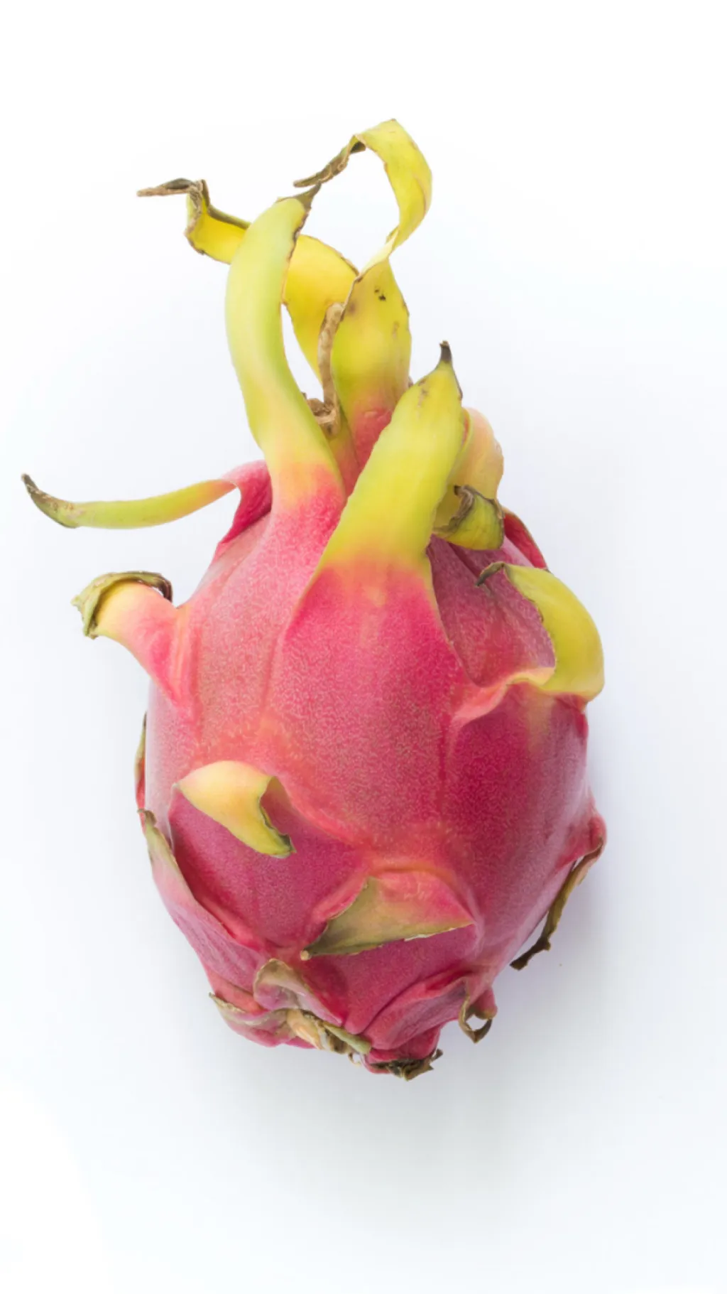 ai character: Dragon fruit background