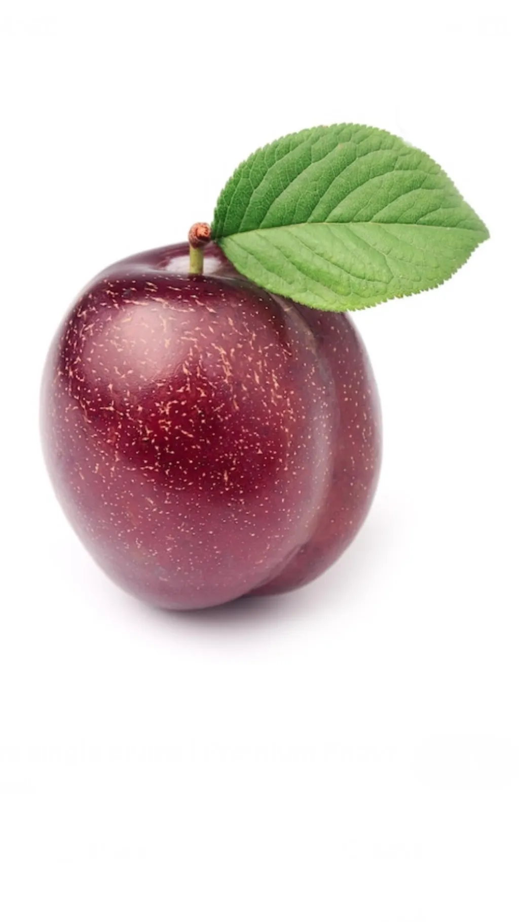 ai character: Plum background