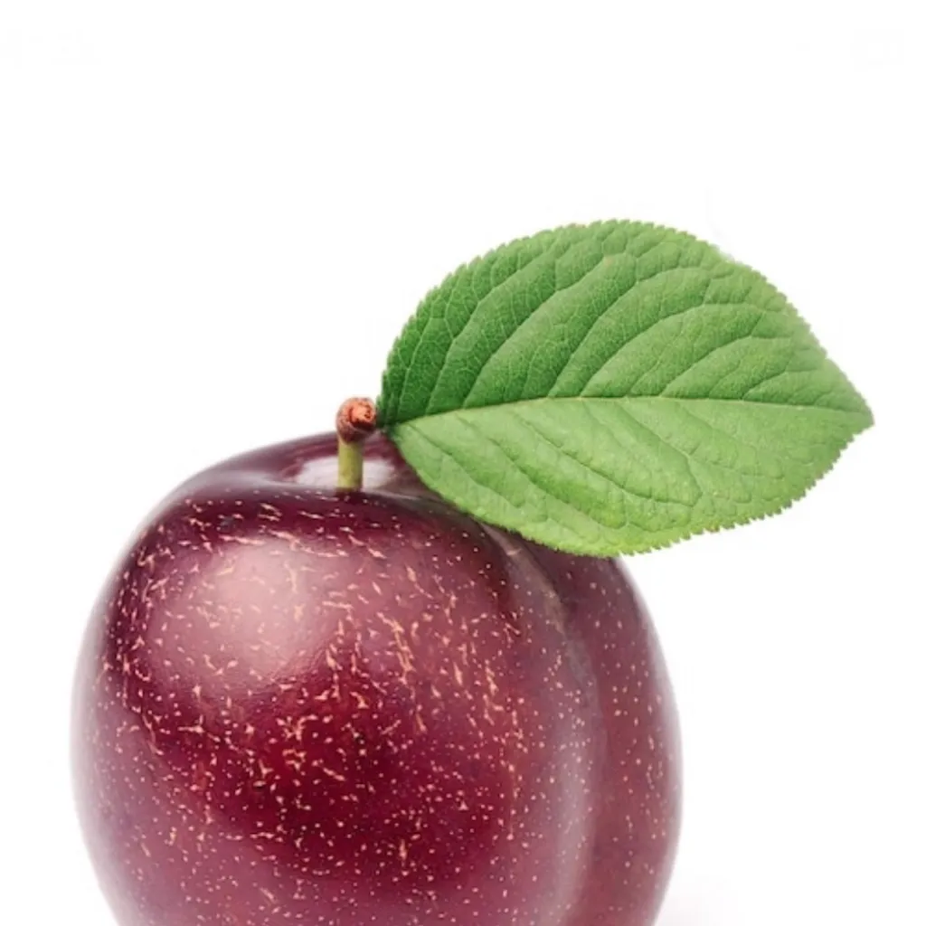 chat with ai character: Plum