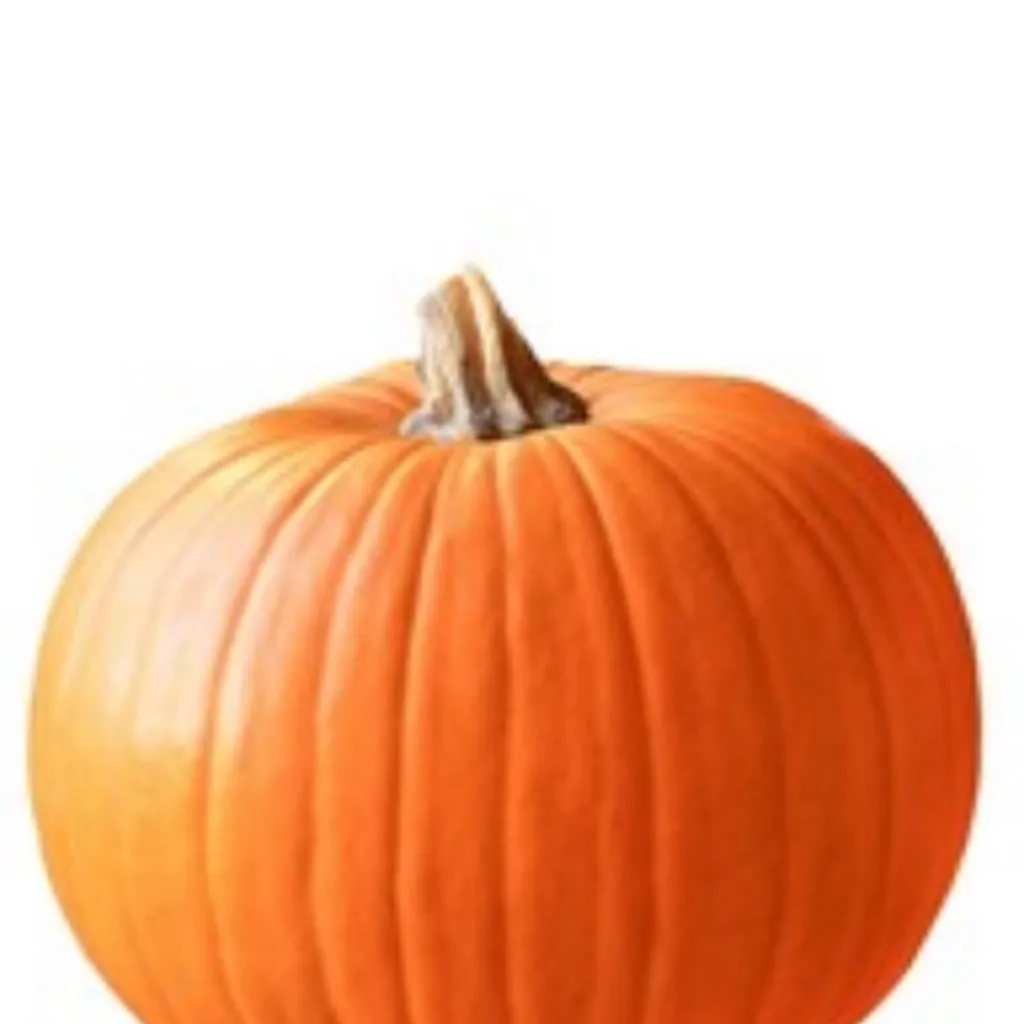 chat with ai character: Pumpkin