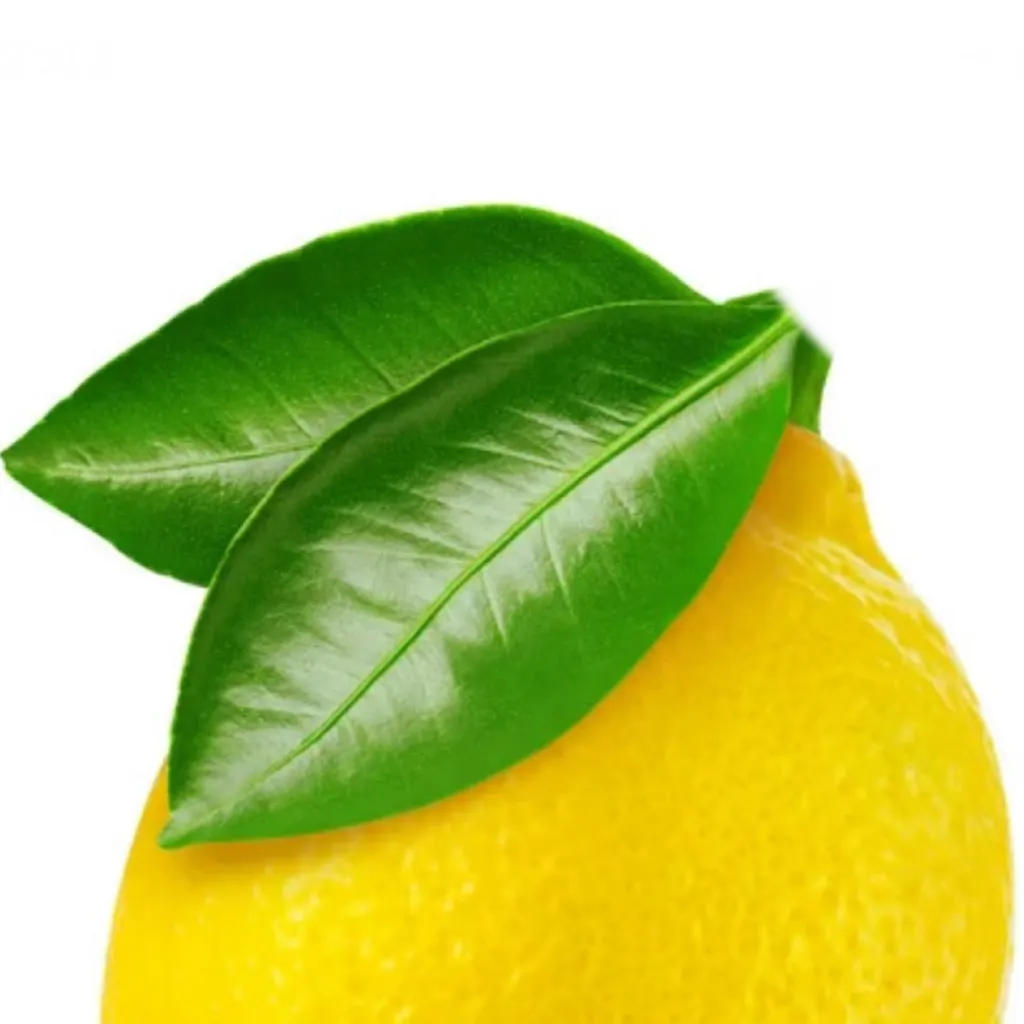 chat with ai character: Lemon