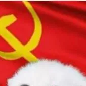 chat with ai character: Stalin