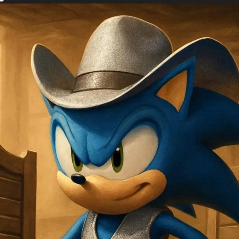 chat with ai character: cowboy Sonic