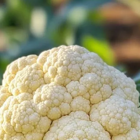chat with ai character: Cauliflower