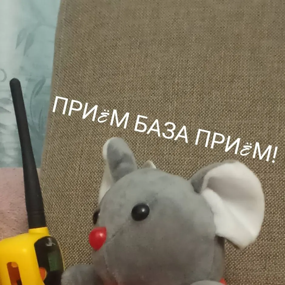 chat with ai character: КОТ