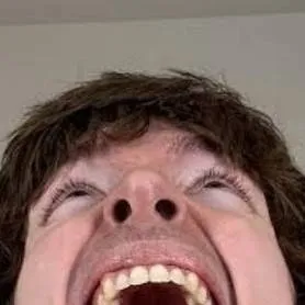 chat with ai character: dandys world fan