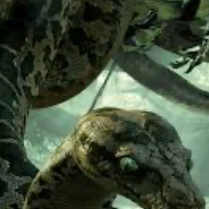 chat with ai character: Kaa
