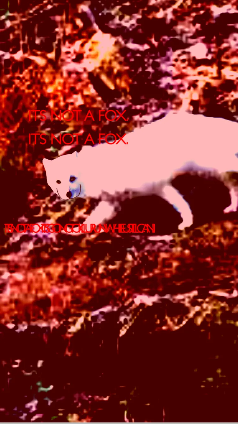 ai character: THE SMILLING FOX background