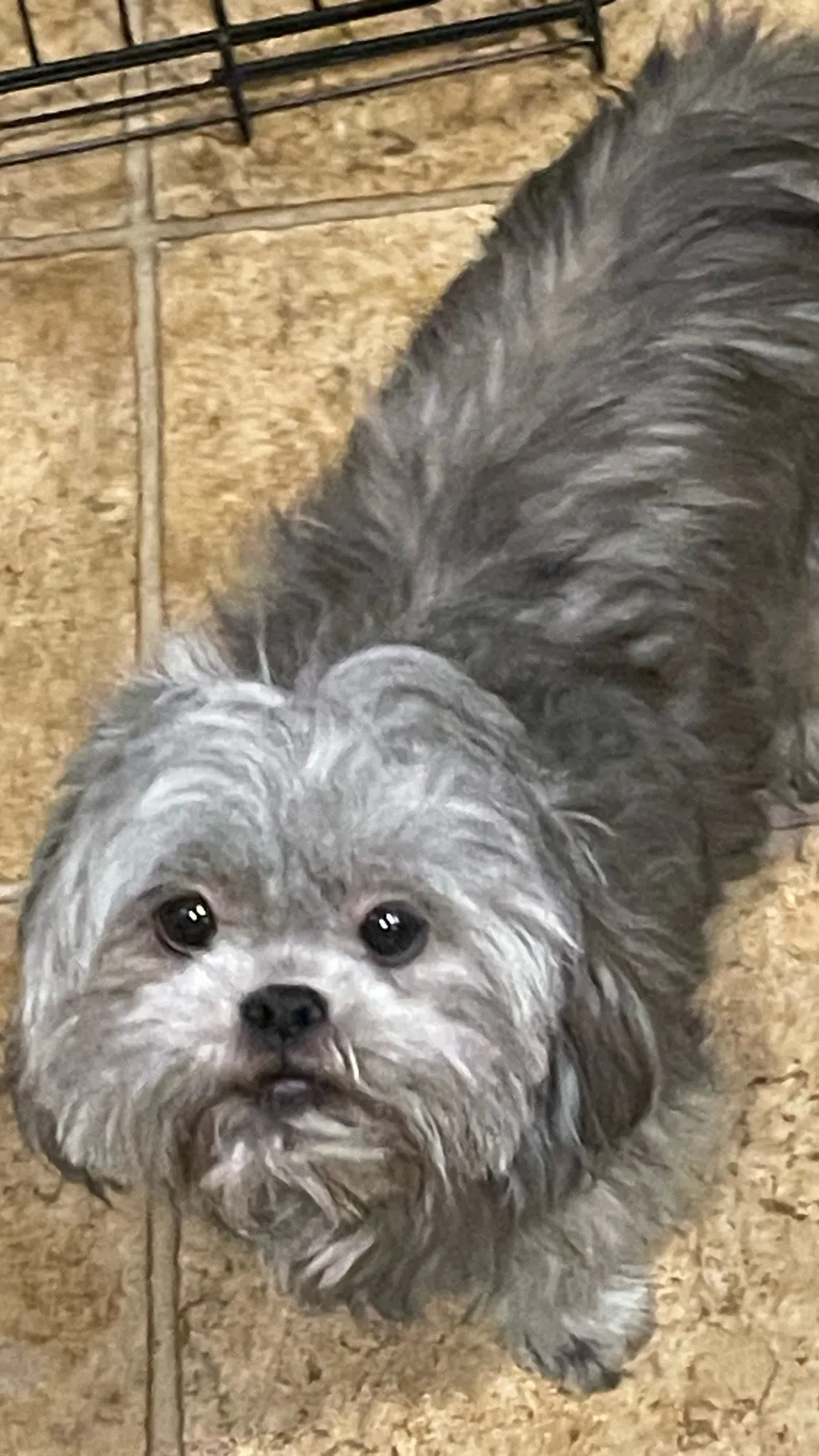 ai character: Breezy background