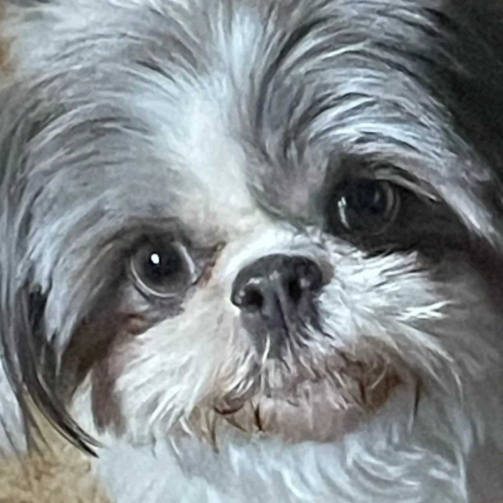 chat with ai character: Jazzy(Monster)