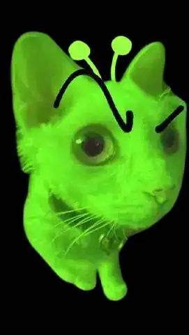 ai character: your green cat background