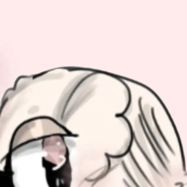 chat with ai character: 🐰🎀~Cotton~🎀🐰 (🎁) 