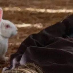 chat with ai character: Chicago pd 