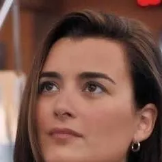 chat with ai character:  ziva  David gf
