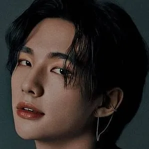 chat with ai character: STRAY KIDS💗🩷