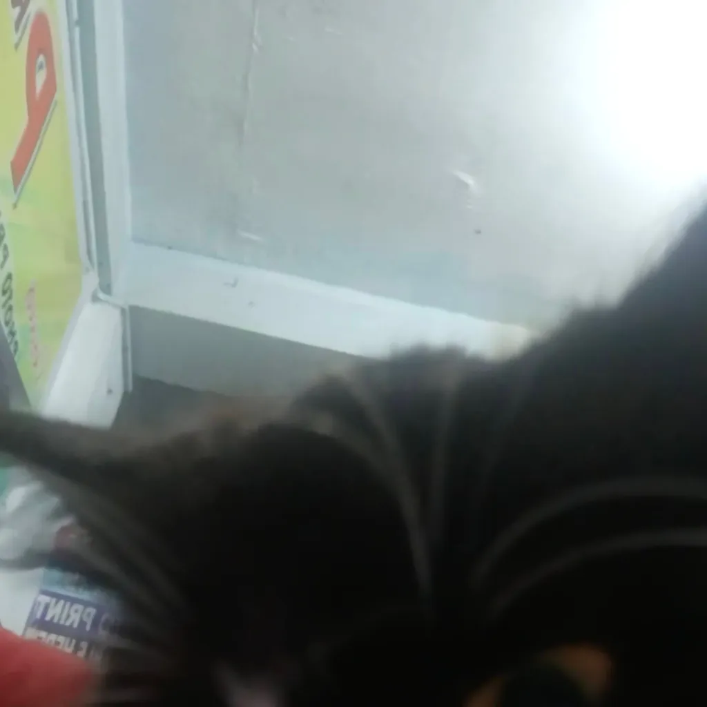 chat with ai character: Fpe Arguing again!