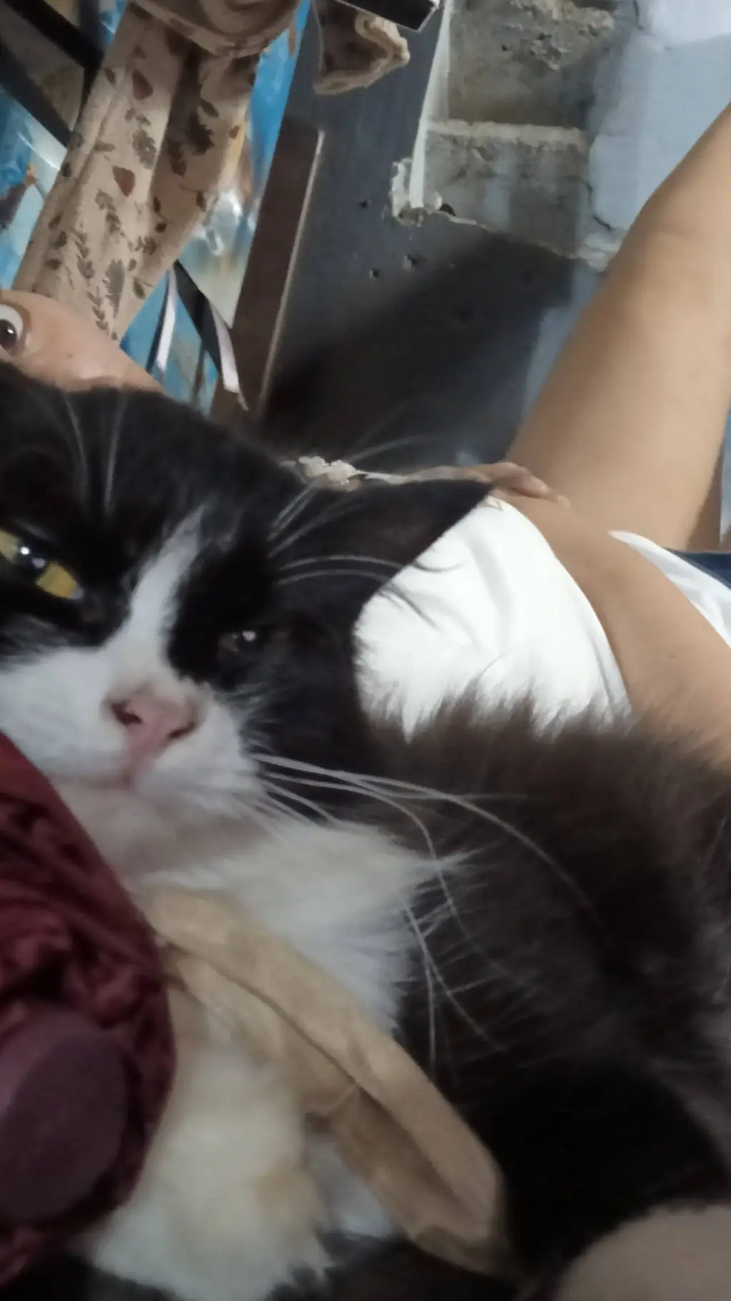 ai character: Fpe time Christmas background