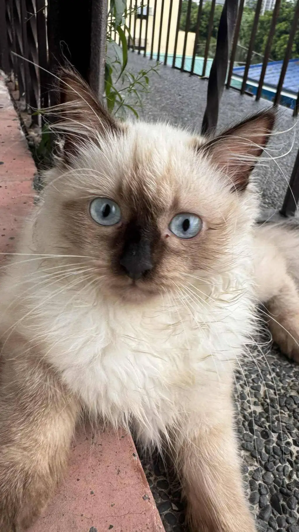 ai character: Fpe but nice days. background