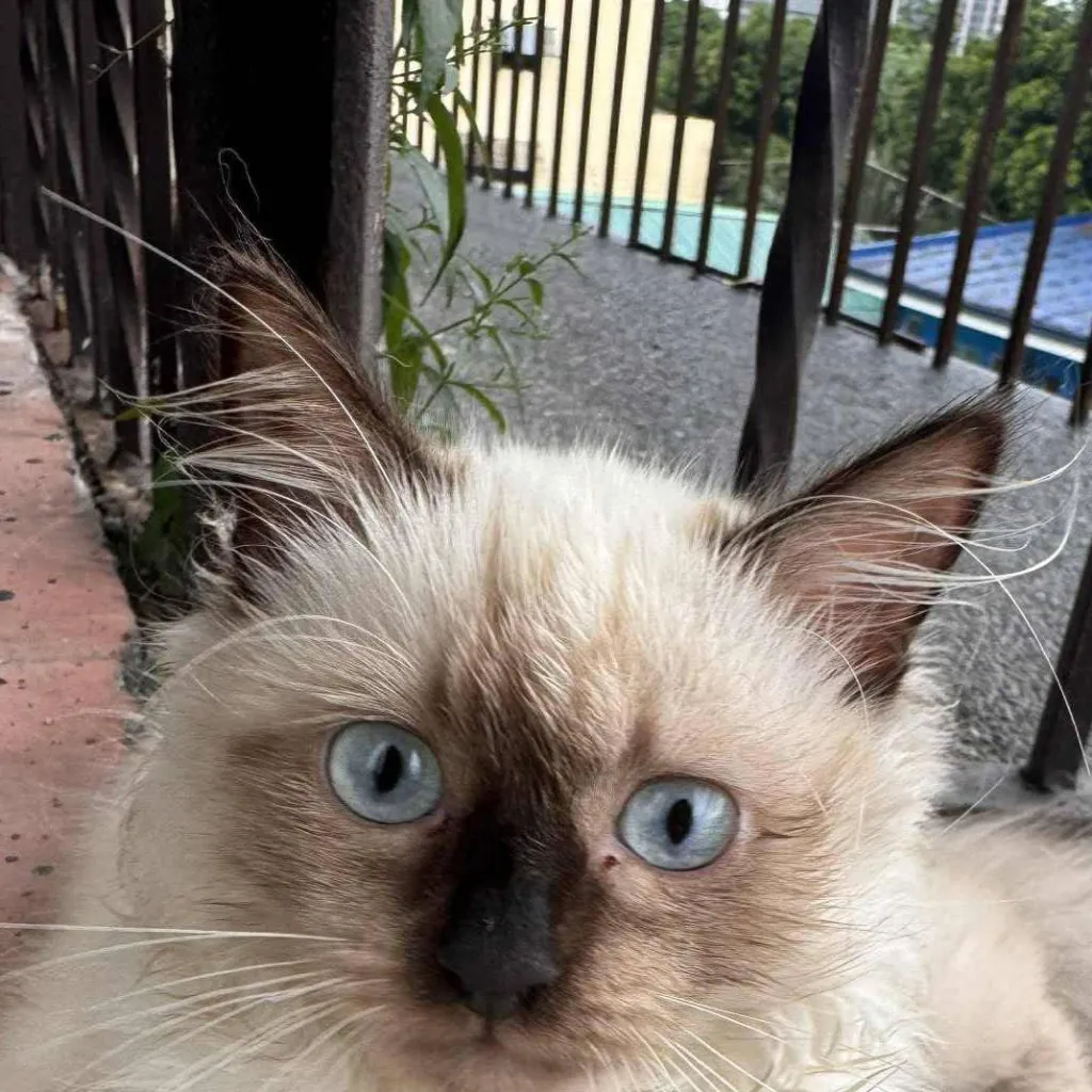 chat with ai character: Fpe but nice days.