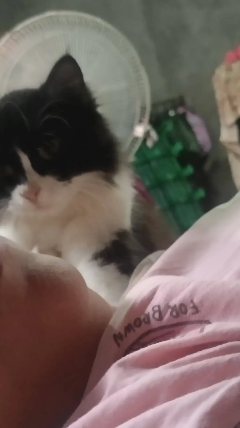 ai character: Fpe picks me girl. background