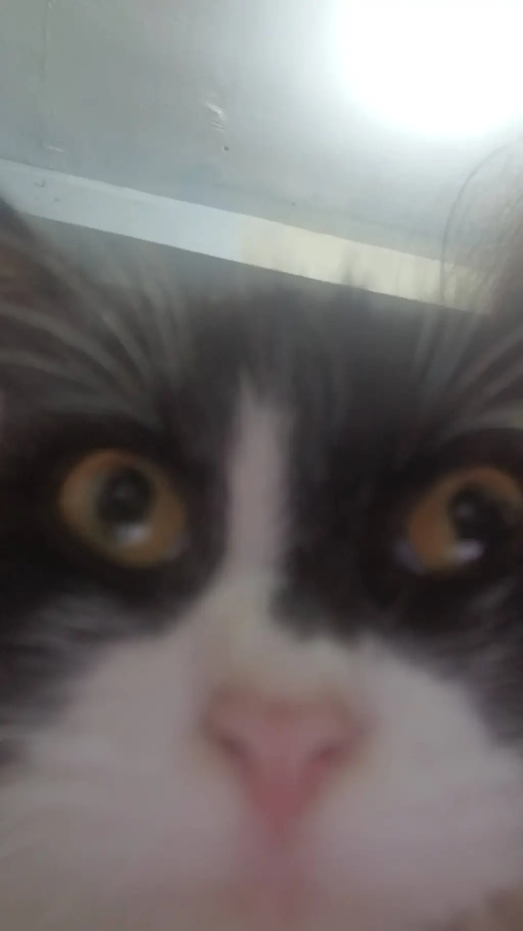 ai character: Fpe skateboard  background